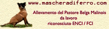 MASCHERA DI FERRO - Malinois in Italy