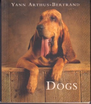 DOGS